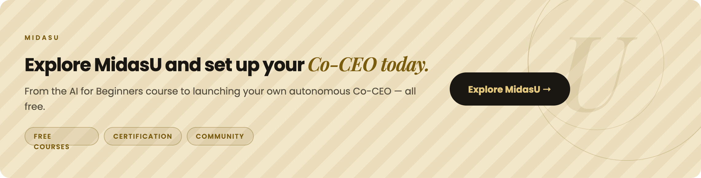Explore MidasU and set up your Co-CEO today — free courses, certification, community
